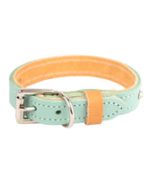 Luxury Leather Duo Tone Studded Dog Collar In Mint & Tan